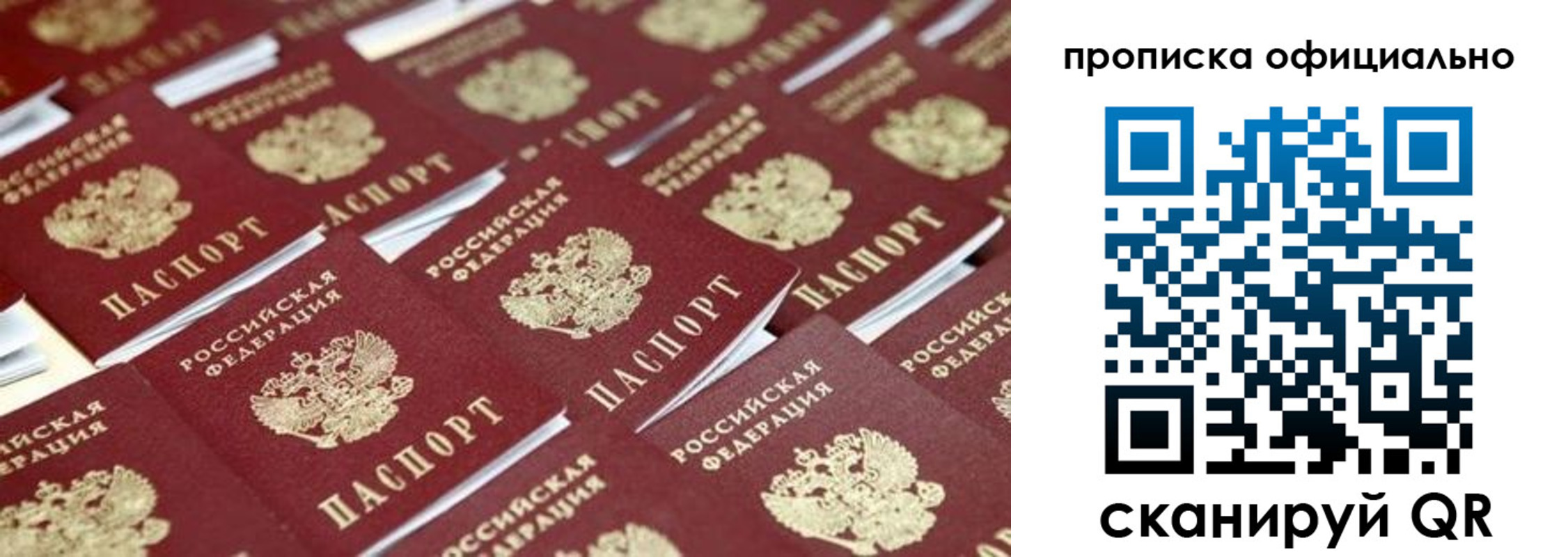 прописка гарантия в Жуковском